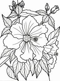 Flower Coloring Activity Book Adults Dementia 1 Jpg 594 800 Flower Coloring Pages Coloring Pages Easy Coloring Pages