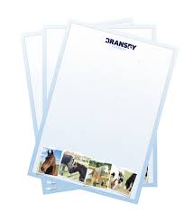 In this article, you will learn the format of writing a successful paper and tips on what every teacher is. Writing Paper Envelopes Bransby Horses