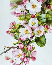 Oilpainting Digitalart Artdigital Montrealart Montrealartist Drawart Drawingart Drawofthed Flower Art Painting Floral Watercolor Watercolor Flowers Paintings