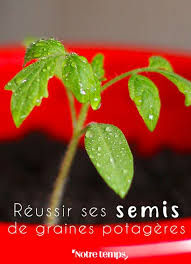 Epingle Sur Permaculture