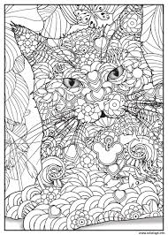 Colorie le grand cercle en rouge. Coloriage Chat Maine Coon Adulte Animaux Dessin Adulte Animaux A Imprimer