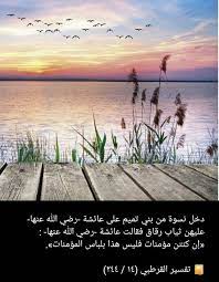 pin by صل على النبي on صباحات ومسائات plants