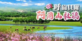 翠明假期8天【5月賞花限定】呼倫貝爾・阿爾山杜鵑・北國初春 ...