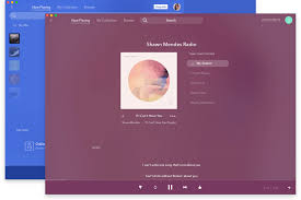 And it is among the best when it comes to recommending similar songs according to your music tastes. Desktop App Pandora