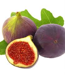 Denn berechnet man den zeitaufwand, den man für den umtausch verwendet hat sowie den verluast, kann man sicher gleich bis ins gartencenter fahren. Sortiment Exotisches Obst Obst Bei Baldur Garten