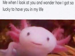 Check spelling or type a new query. Im So Lucky To Have You In My Life Wholesomememes