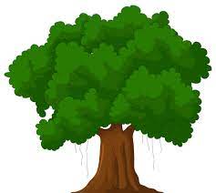 Cartoon Green Tree Png Clipart Best Web Clipart Gambar Menggambar Pohon Pohon