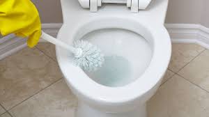 Maybe you would like to learn more about one of these? How To Clean Mineral Stains From Your Toilet Howstuffworks