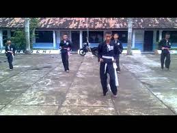 Bentuk kegiatan yang dilakukan untuk menggiatkan kesadaran berolahraga masyarakat tomang adalah senam masal kesegaran jasmani. Psht Senam Masal Mojo Andong Cab Boyolali Youtube