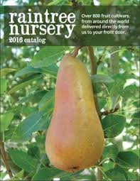 Many heirloom varieties of fruit trees are being bred out of existence and once extinct they are gone forever. 210 Garden Fruits Berries Ideas Apple Tree Fruit Trees Garden