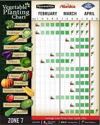 vegetable planting chart for zone 7 here is what my