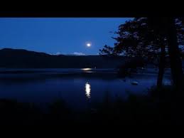 Musicotherapie Musique Zen Pour Dormir Profondement Meditation Relaxation Zen Amp Relax Youtube Meditation Music Meditation Zen