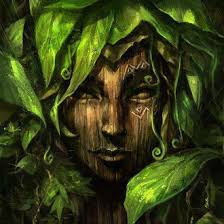 Substanz inhalte anzeigen 1 substanz 2 einnahme 3 wirkung 4 kurzzeitwirkungen 5 langzeitwirkungen 6 nachweisbarkeit 7 mischkonsum salvia divinorum („salbei der wahrsager) ist eine psychoaktive salbeiart. Salvia Divinorum