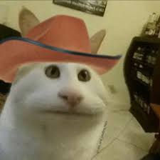 Making the world a little more yeehaw, one cowboy cat at a time. Cats And Cowboy Hats Cowboycats Twitter