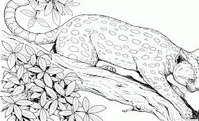 Free printable coloring pages and connect the dot pages for kids. 1493824662cheetah Cat Hard Adult Animal Cheetah Coloring Pages Printable For Kids Picture Inspirations Approachingtheelephant