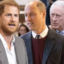Prince Harry Slammed for Bailing