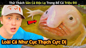 Hảo Hán Review Quan Sát Các Loài Độc Lạ Ăn Uống Cực Đã Mắt || Review Giải  Trí Đời Sống