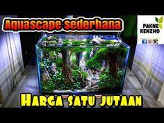 Untuk langkah awal silahkan bersihkan terlebih dahulu tabung aquarium yang akan digunakan. 33 Waterfall Aqua Scape Sand Ideas Aquascape Aquascape Aquarium Fish Tank