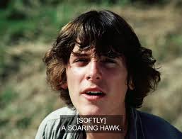 I'll Ride the Wind”