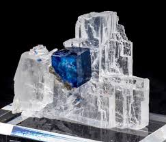 Perfect Blue Halite Cube On Clear Halite Mineral Specimen Carlsbad New Mexico Mineral Stone Minerals And Gemstones Crystals Minerals