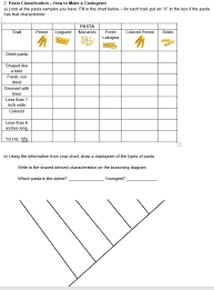Solved 2 Pasta Classification How To Make A Cladogram A