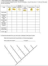 solved 2 pasta classification how to make a cladogram a