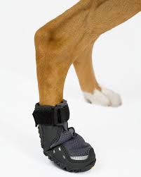 Grip Trex Dog Boots Dog Accessories Pets