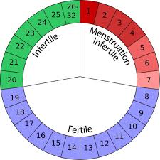 Natural Birth Control Options Suggestions Mama Natural Birth Control Options Natural Birth Control Natural Family Planning