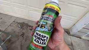 Spectracide Wasp And Hornet Spray Best Wasp Spray Youtube