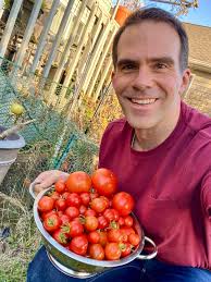 THE LAST HARVEST 🍅 (I mean, surely this is the last harvest, right?! 🤣)  My tomatoes vines have long since shriveled up, but somehow I'm still  getting tomatoes. I picked all of