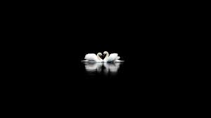 4k wallpapers of black background for free download. Black Wallpapers Wallpaper Cave