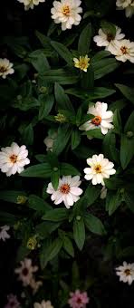 Pin by Ashlee Baxter