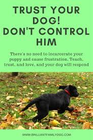 We did not find results for: Trust Your Dog Don T Control Him Brilliant Family Dog