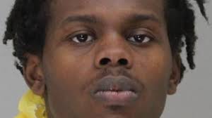 Dallas Zoo monkey thefts: Man indicted