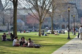 Image result for yale university