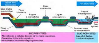 Principe De L Adoucissement Un Adoucisseur Est Un Instrument Apte A Adoucir L Eau C Est A Dire D En Diminuer La Dure Traitement Des Eaux Eau Piscine Naturelle