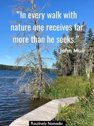 These nature pictures include serene pictures of trees, lakes, plants, flowers, outdoor animals, seascapes and more. Best Nature Captions For 2021 Instagram And Photos Routinely Nomadic