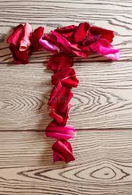 We are share stylish t name dp and stylish t letter dp. Of Rose Petals Alphabet Stock Photo Image Of Font Blossom 102124450