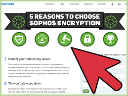 However, bitcoin wallets may stay relatively safe. 3 Ways To Create An Online Bitcoin Wallet Wikihow