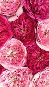 The realistic peonies flowers painting from the contemporary floral collection 2018. 1001 Ideas For Floral Background To Decorate Your Screen With