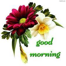 .for good morning images hd, best good morning love images for lovers, and good morning flowers images so this is the right here you can direct download new pics of morning and morning love. 10 Good Morning Greetings Ideas Good Morning Greetings Morning Greeting Good Morning
