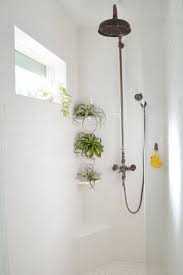 Shower Plants Create Tropical Spa Experience Well Good Bathroom Plants Shower Small Bathroom Decor Shower Plant