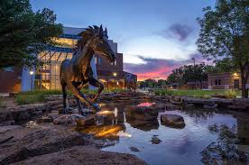 Current and Past Scholars and Mentors » The Office of Undergraduate  Research »MSU Texas »