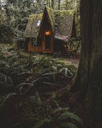 More Cabin In The Woods Pacific Northwest Sam Poole Jones Kleine Hut Huizen Architectuur