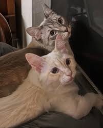 We love getting updates