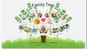 Familytree.com is a genealogy, ancestry, and family tree research website. 5 Best Family Tree Softwares The In Depth Genealogist