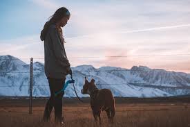 Una tiktoker española confiesa haber tenido relaciones sexuales con su perro  | Marca HD phone wallpaper