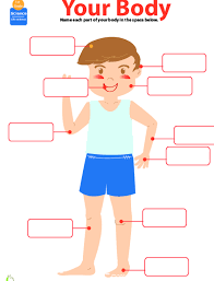 In this worksheet kids can learn about the human body parts. My Body Lesson Plan Education Com Lesson Plan Education Com