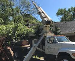 Less than 5 years request stage. Appleseed Tree Service