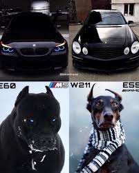 Bmw Or Benz Bmw Benz Luxury Cars Audi Bmw Concept Sports Cars Luxury